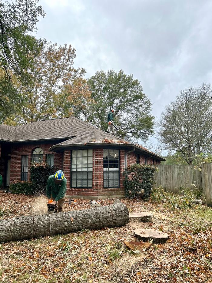 C&B Tree Service - Lufkin, TX