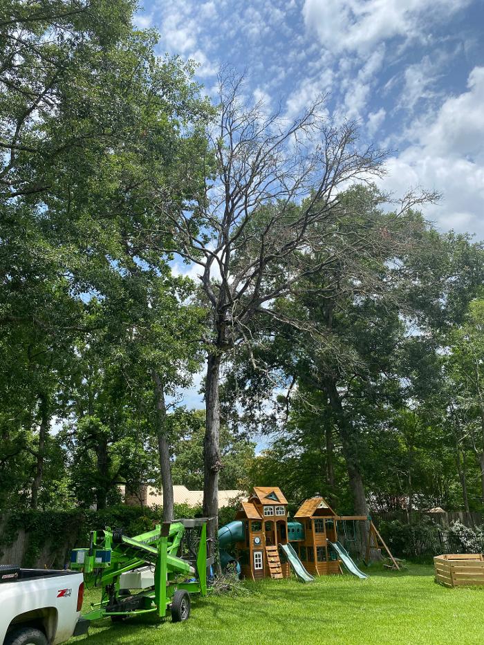 C&B Tree Service - Lufkin, TX