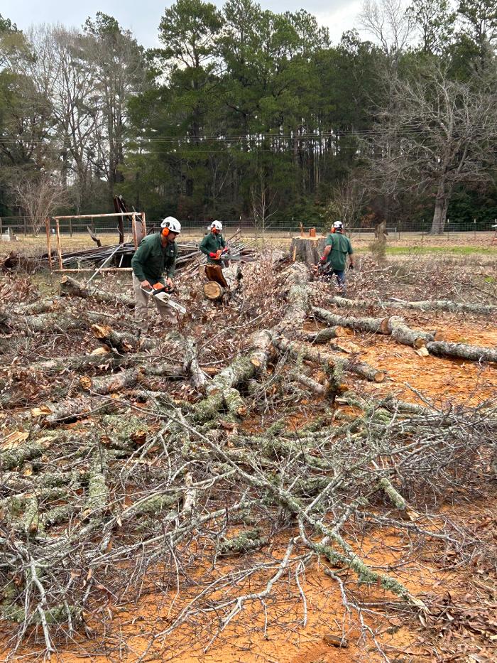 C&B Tree Service - Lufkin, TX