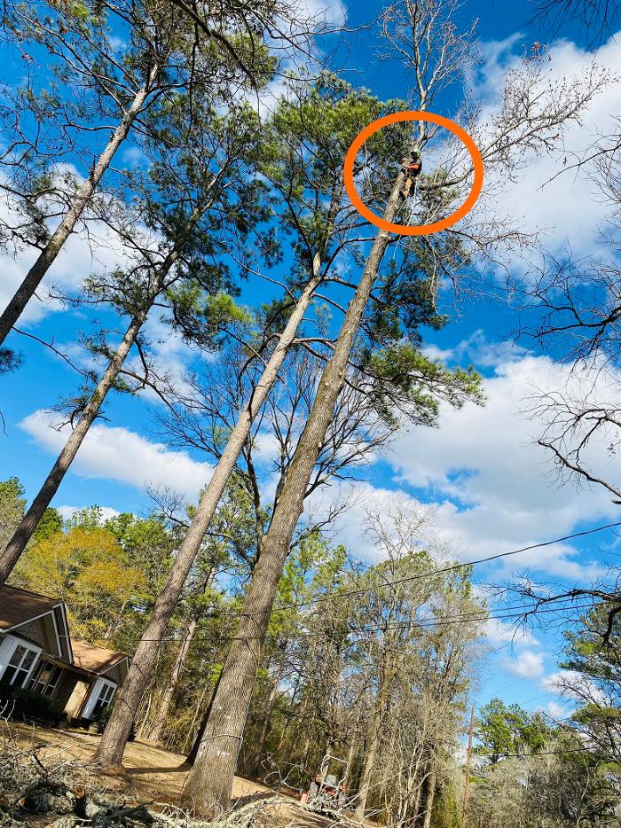 C&B Tree Service - Lufkin, TX