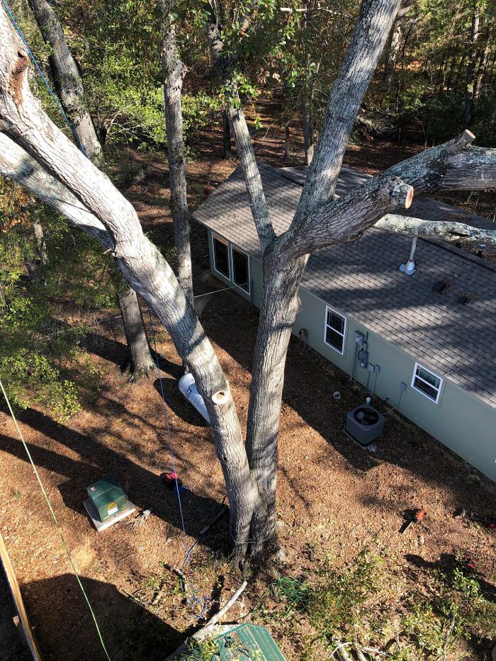 C&B Tree Service - Lufkin, TX