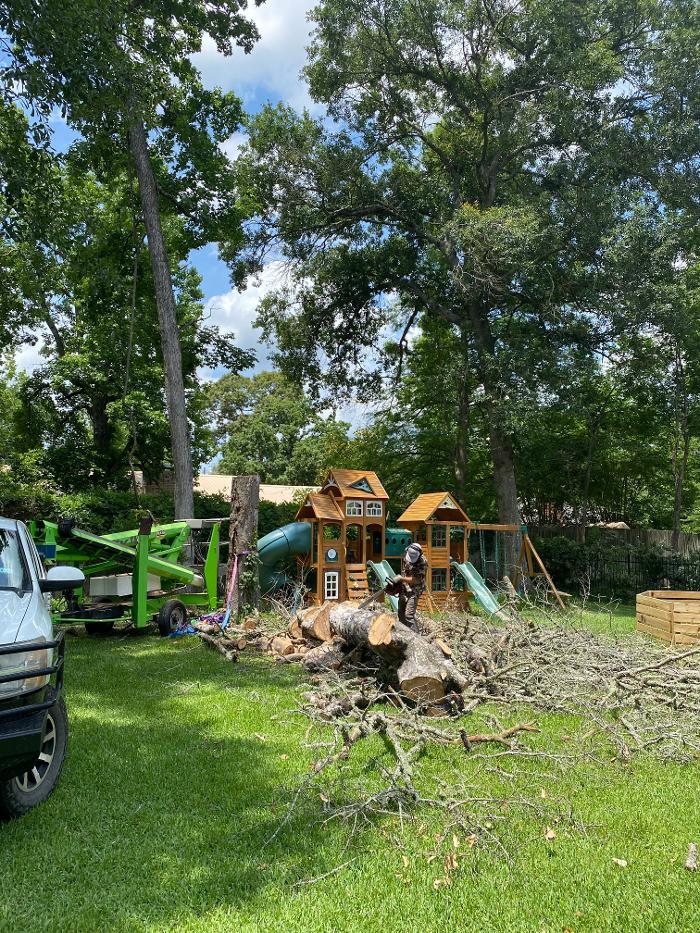 C&B Tree Service - Lufkin, TX