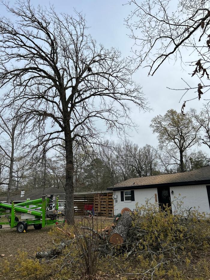 C&B Tree Service - Lufkin, TX