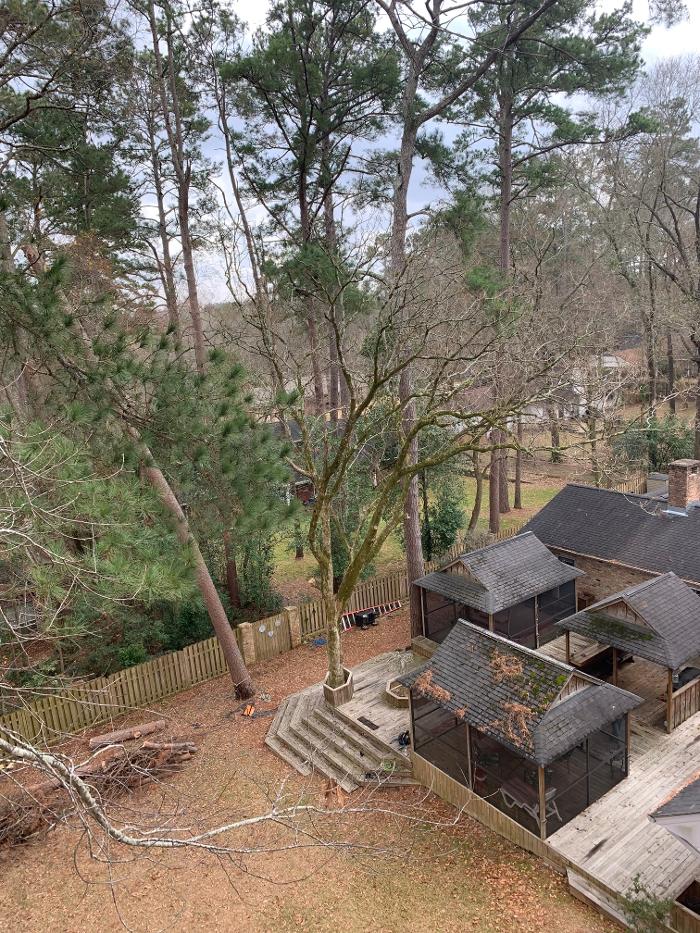 C&B Tree Service - Lufkin, TX