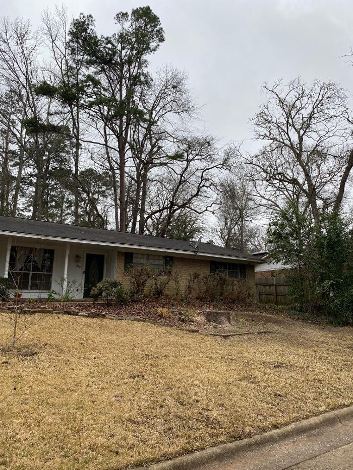 C&B Tree Service - Lufkin, TX