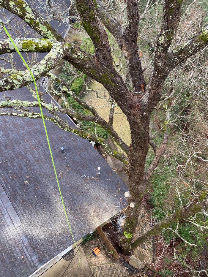 C&B Tree Service - Lufkin, TX