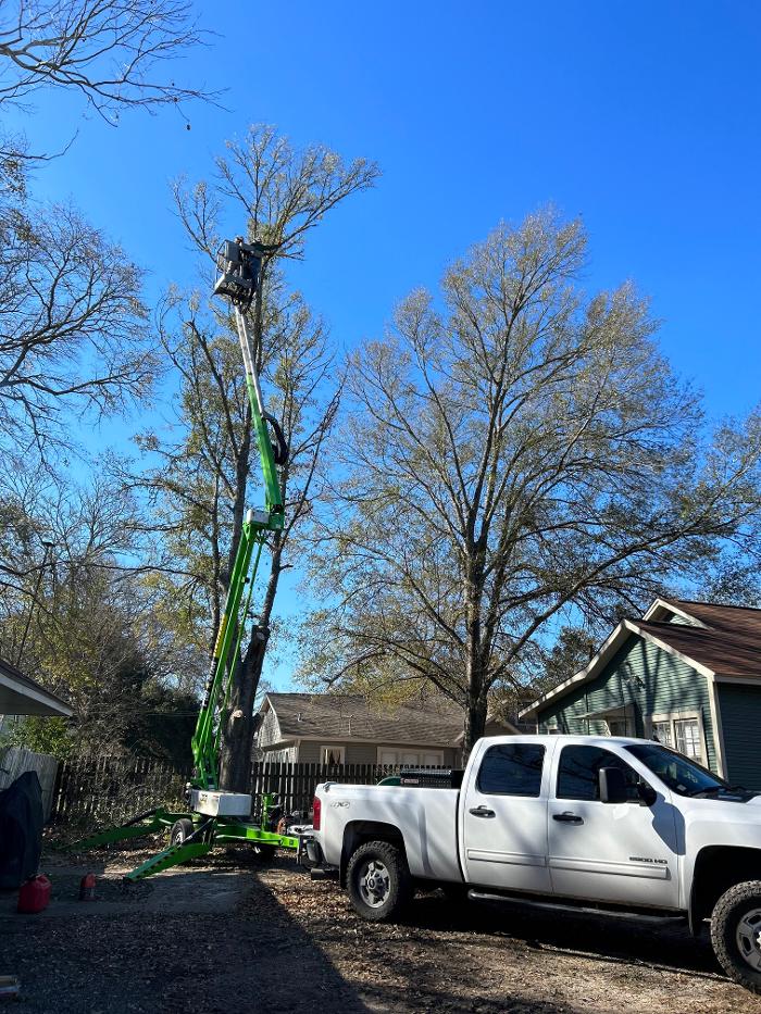 C&B Tree Service - Lufkin, TX