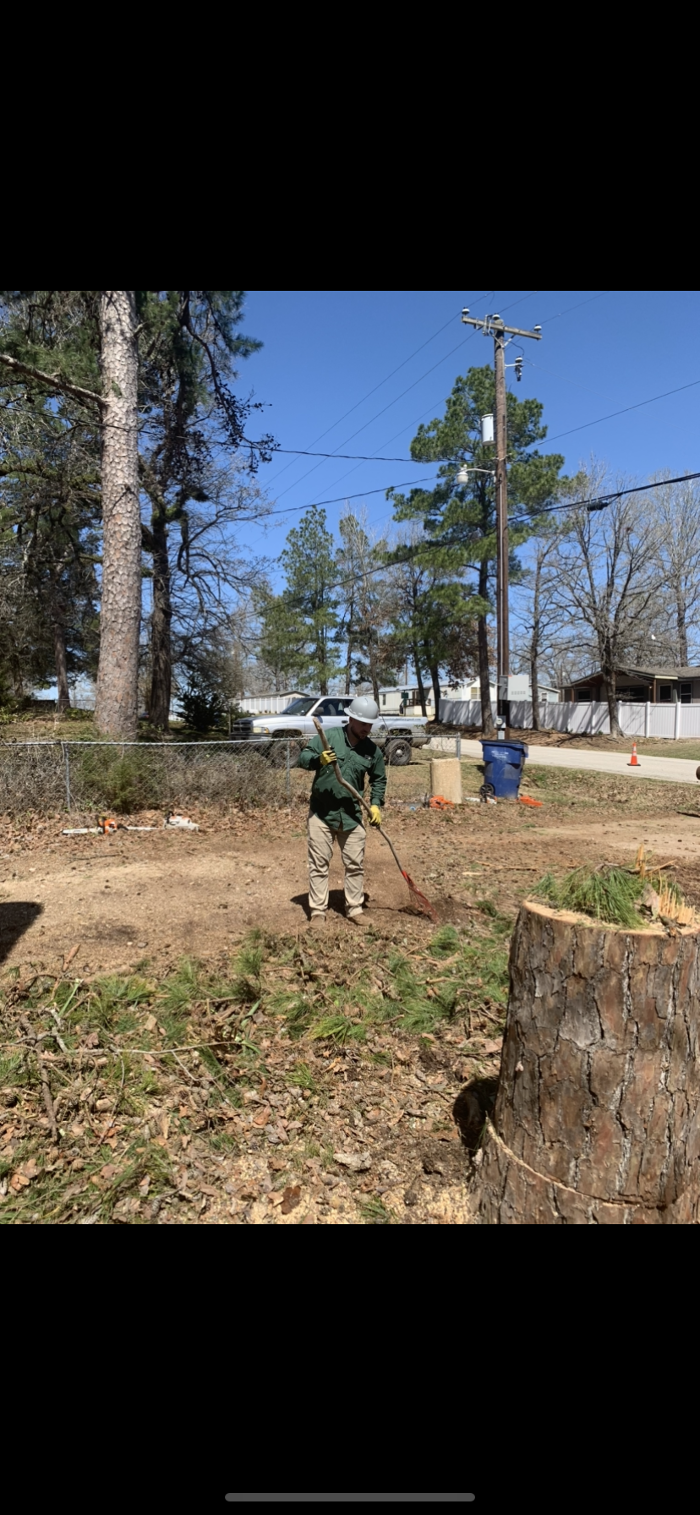 C&B Tree Service - Lufkin, TX