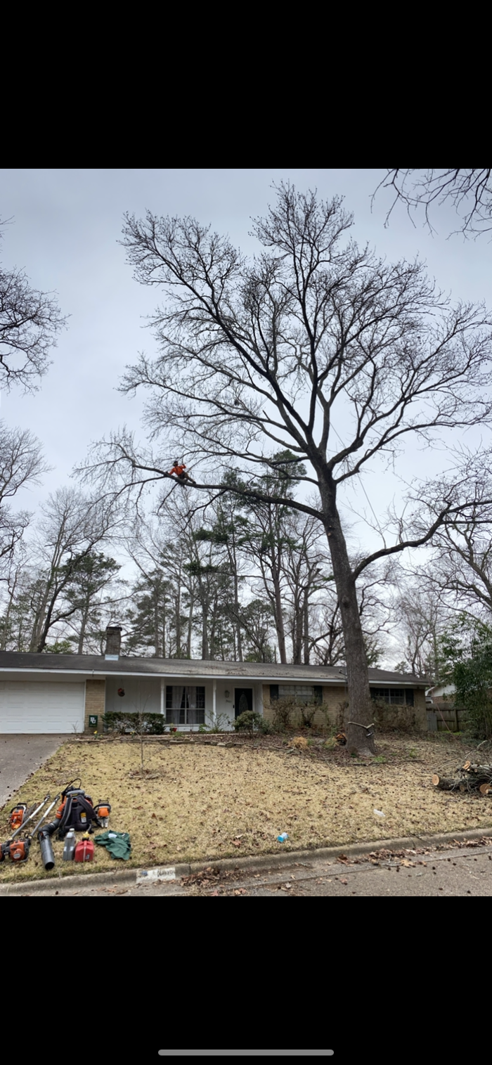 C&B Tree Service - Lufkin, TX