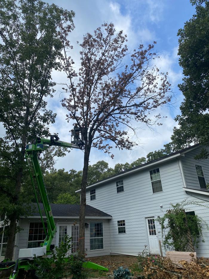 C&B Tree Service - Lufkin, TX