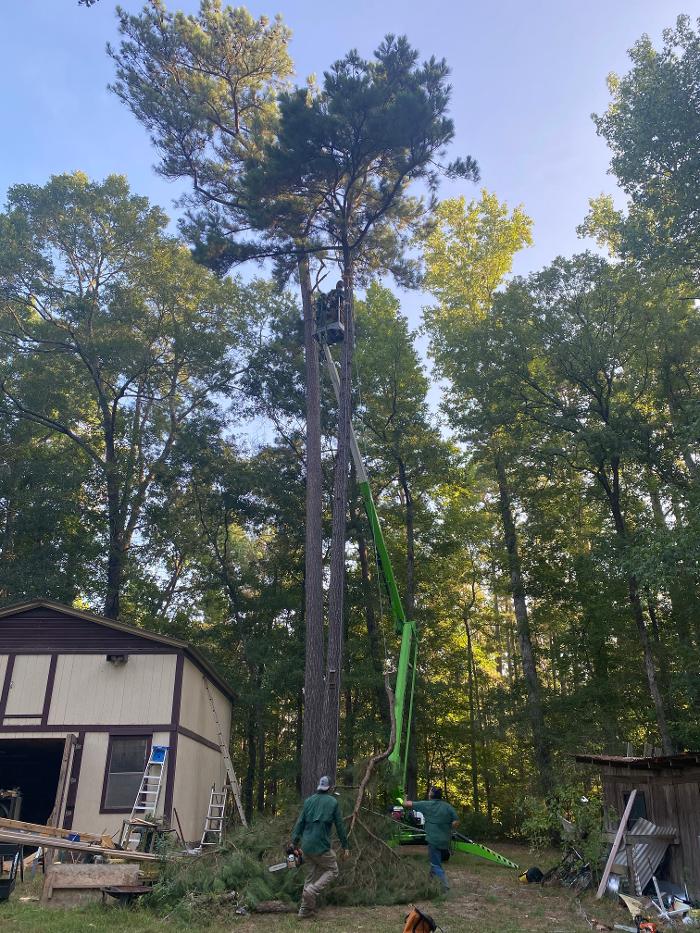 C&B Tree Service - Lufkin, TX
