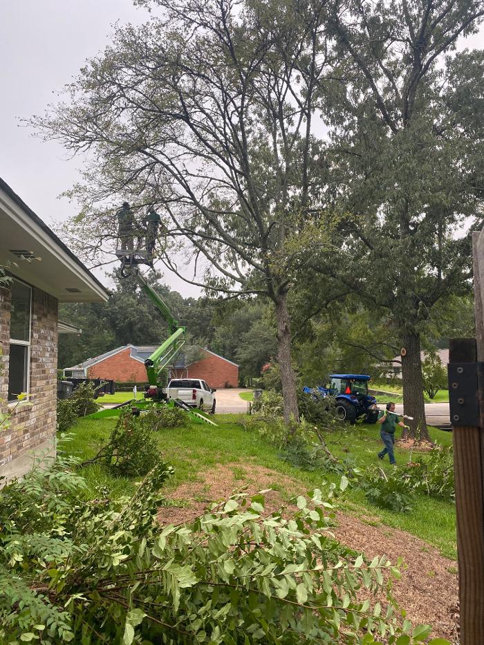 C&B Tree Service - Lufkin, TX