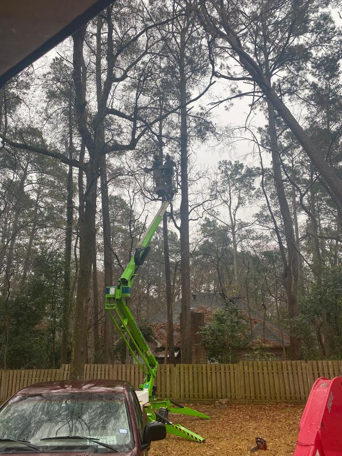 C&B Tree Service - Lufkin, TX