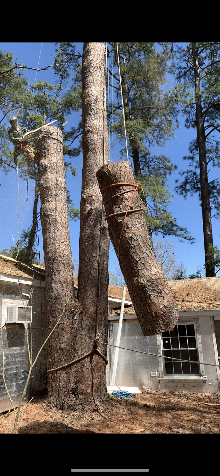 C&B Tree Service - Lufkin, TX