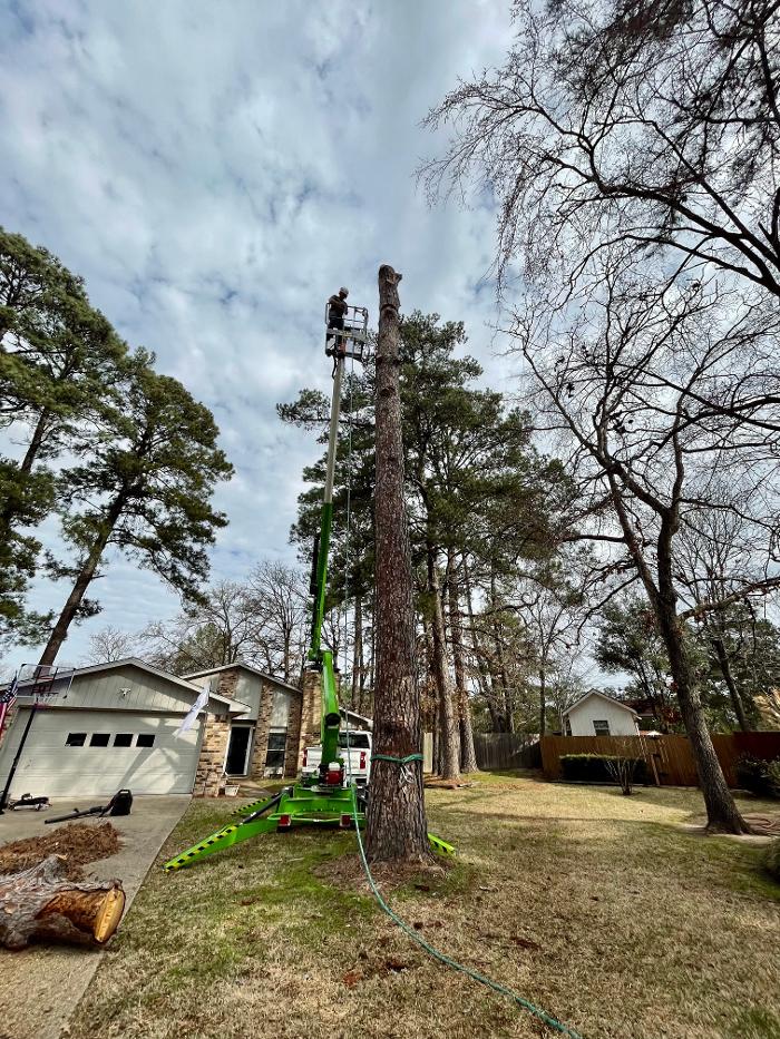 C&B Tree Service - Lufkin, TX