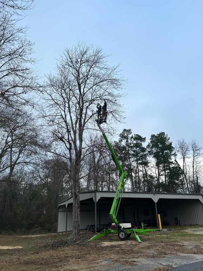 C&B Tree Service - Lufkin, TX