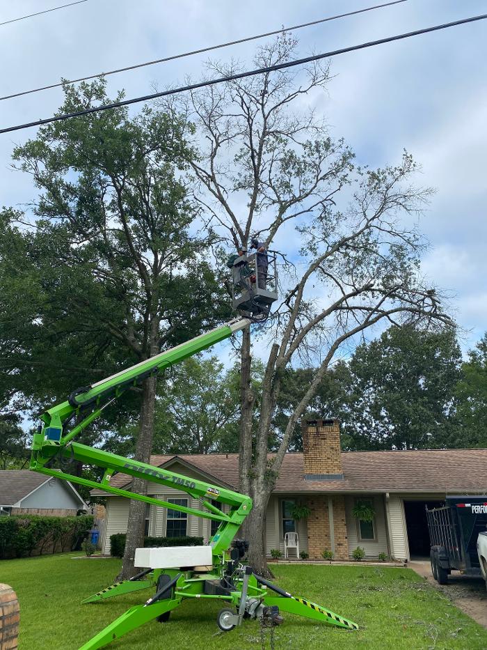 C&B Tree Service - Lufkin, TX