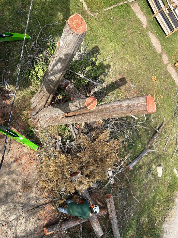C&B Tree Service - Lufkin, TX