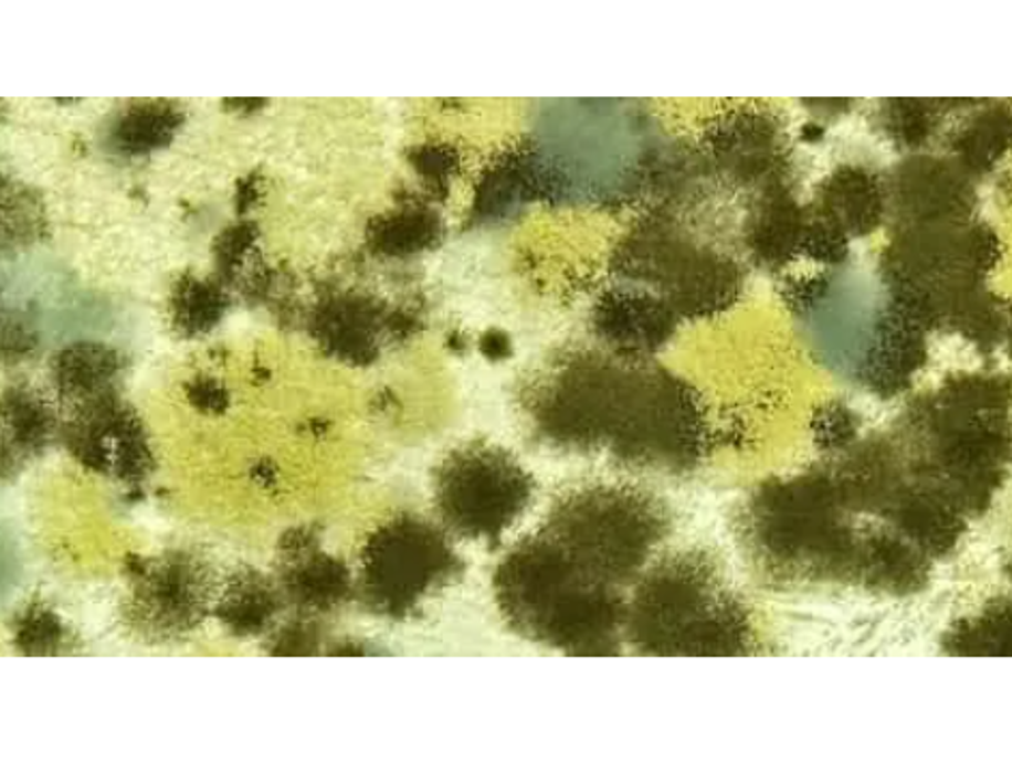 CLOSED - Nauset Environmental Svc - Eastham, MA