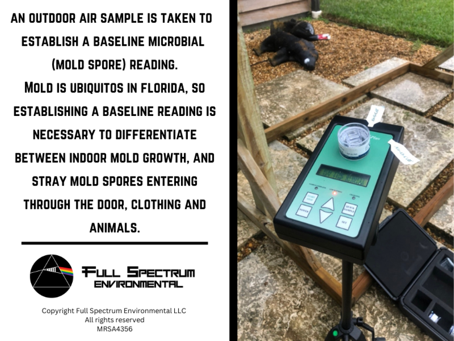 Full Spectrum Environmental - Lake Worth, FL