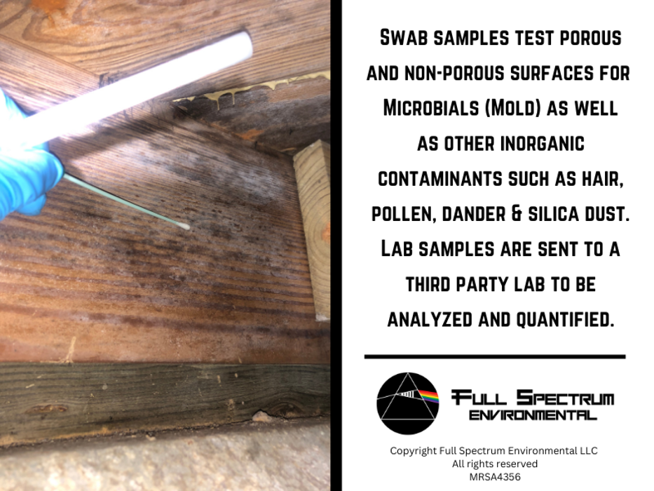 Full Spectrum Environmental - Lake Worth, FL