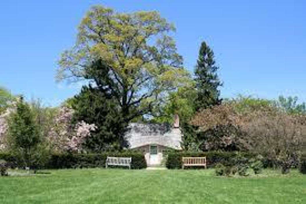 Carlos Tree Service - Stockton, CA