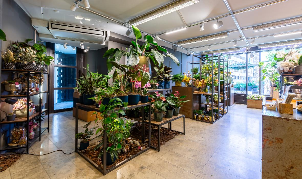 Linder Blumen am Bahnhofplatz in Aarau, Bahnhofplatz in Aarau