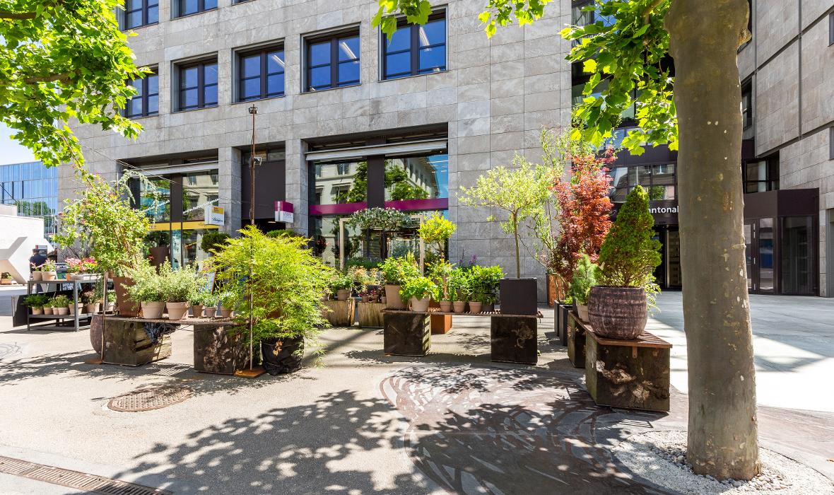 Linder Blumen am Bahnhofplatz in Aarau, Bahnhofplatz in Aarau