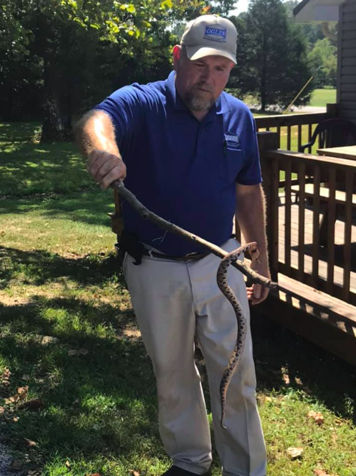 Ogles Exterminating - Glasgow, KY