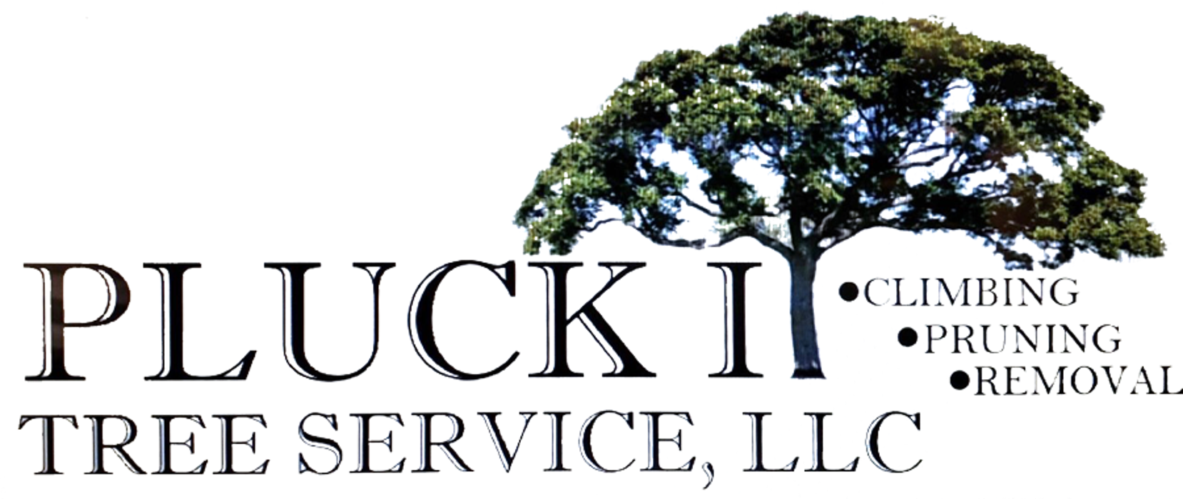 Pluck It Tree Service - Glen Allen, VA