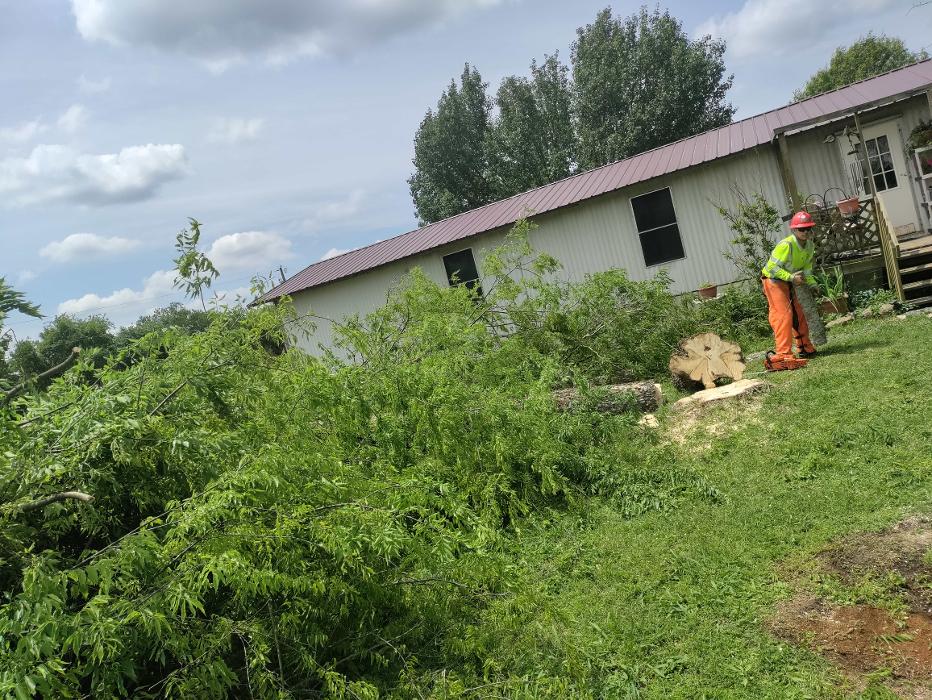Daniel's Tree Experts - Terrell, TX