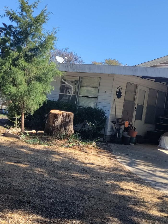 Daniel's Tree Experts - Terrell, TX