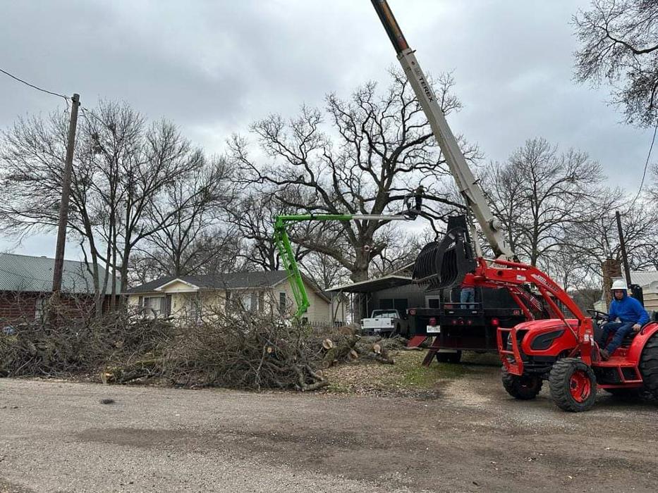 Daniel's Tree Experts - Terrell, TX