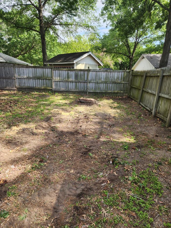 Daniel's Tree Experts - Terrell, TX