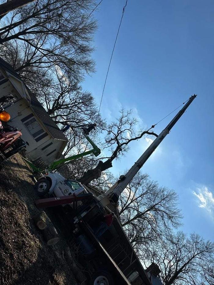 Daniel's Tree Experts - Terrell, TX