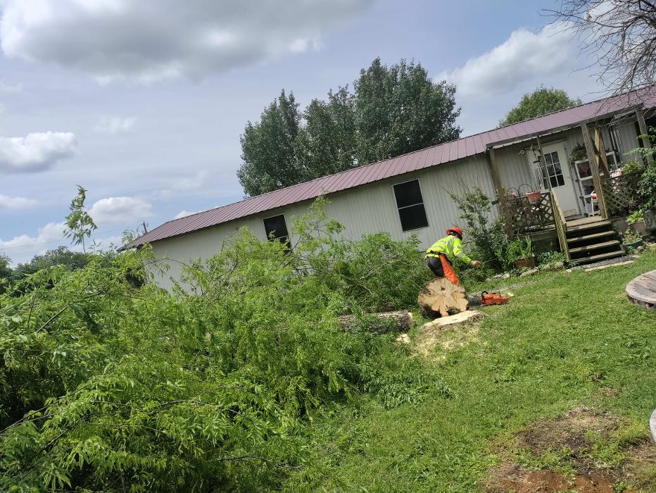 Daniel's Tree Experts - Terrell, TX