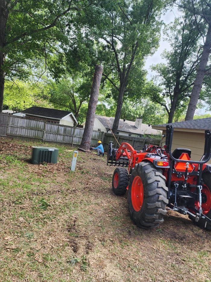 Daniel's Tree Experts - Terrell, TX