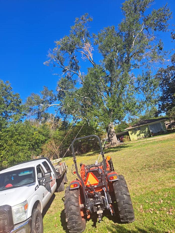 Daniel's Tree Experts - Terrell, TX