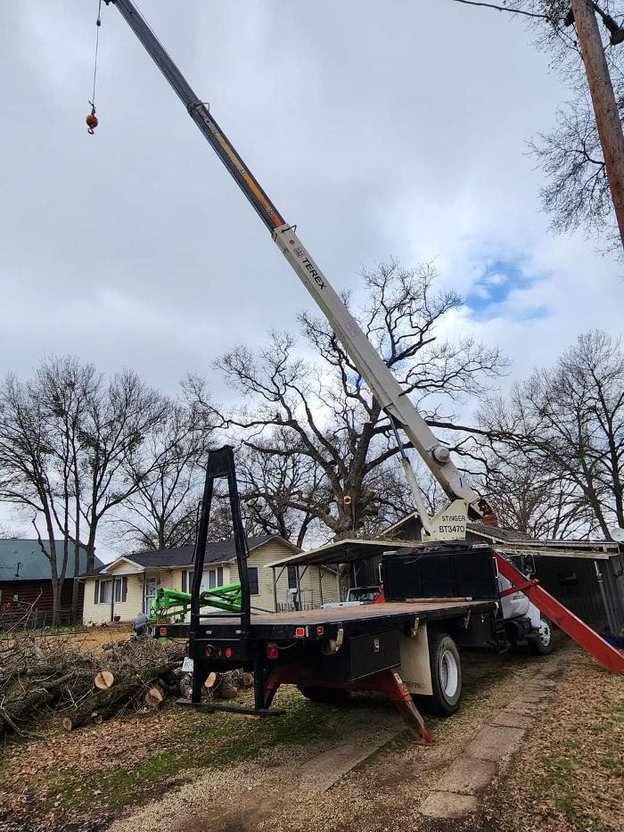 Daniel's Tree Experts - Terrell, TX