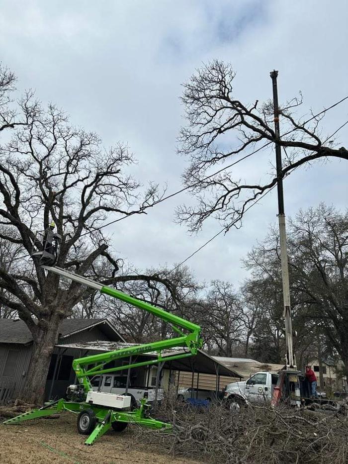 Daniel's Tree Experts - Terrell, TX