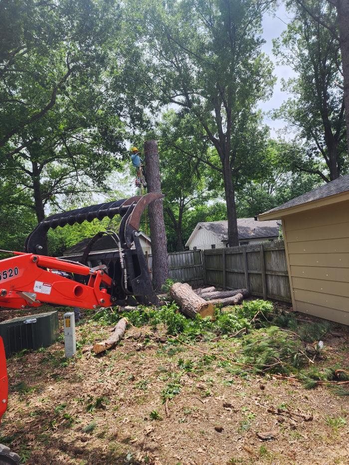 Daniel's Tree Experts - Terrell, TX