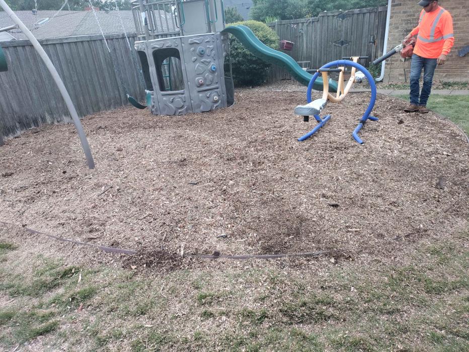 Daniel's Tree Experts - Terrell, TX