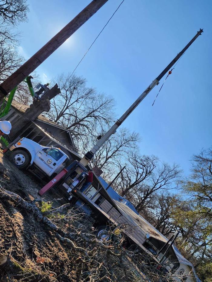 Daniel's Tree Experts - Terrell, TX