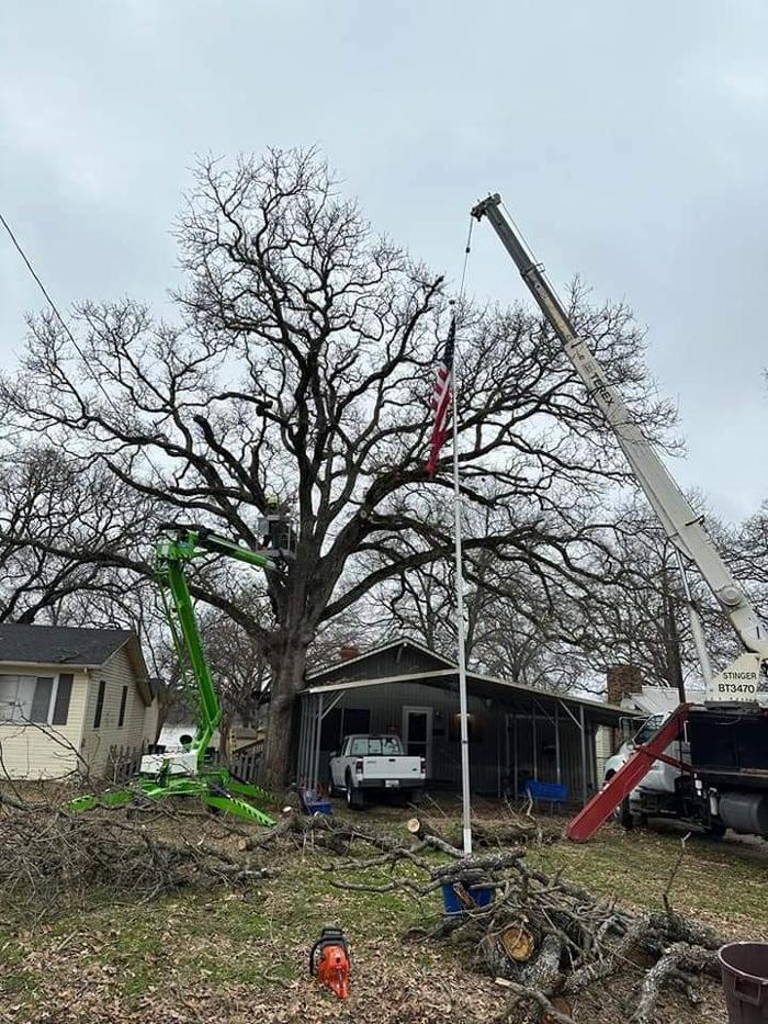 Daniel's Tree Experts - Terrell, TX