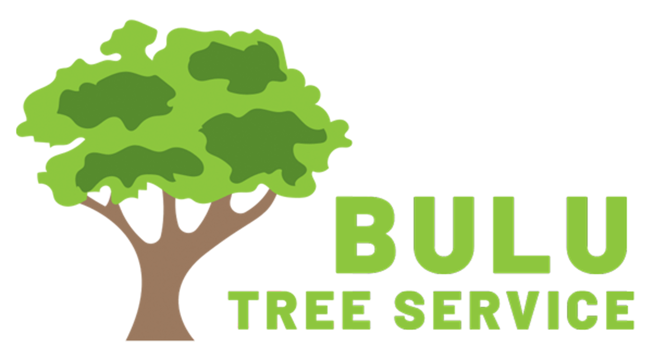 Bulu Tree Service - Greensboro, NC