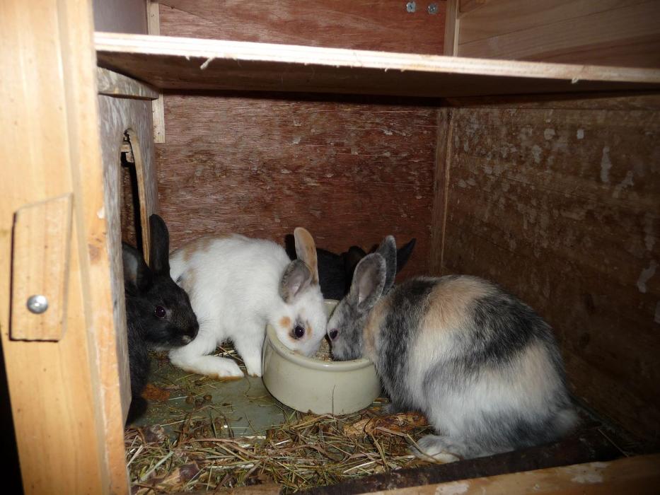 Haus Sonneck Walter Federspiel, Hinterdorf in Nauders
