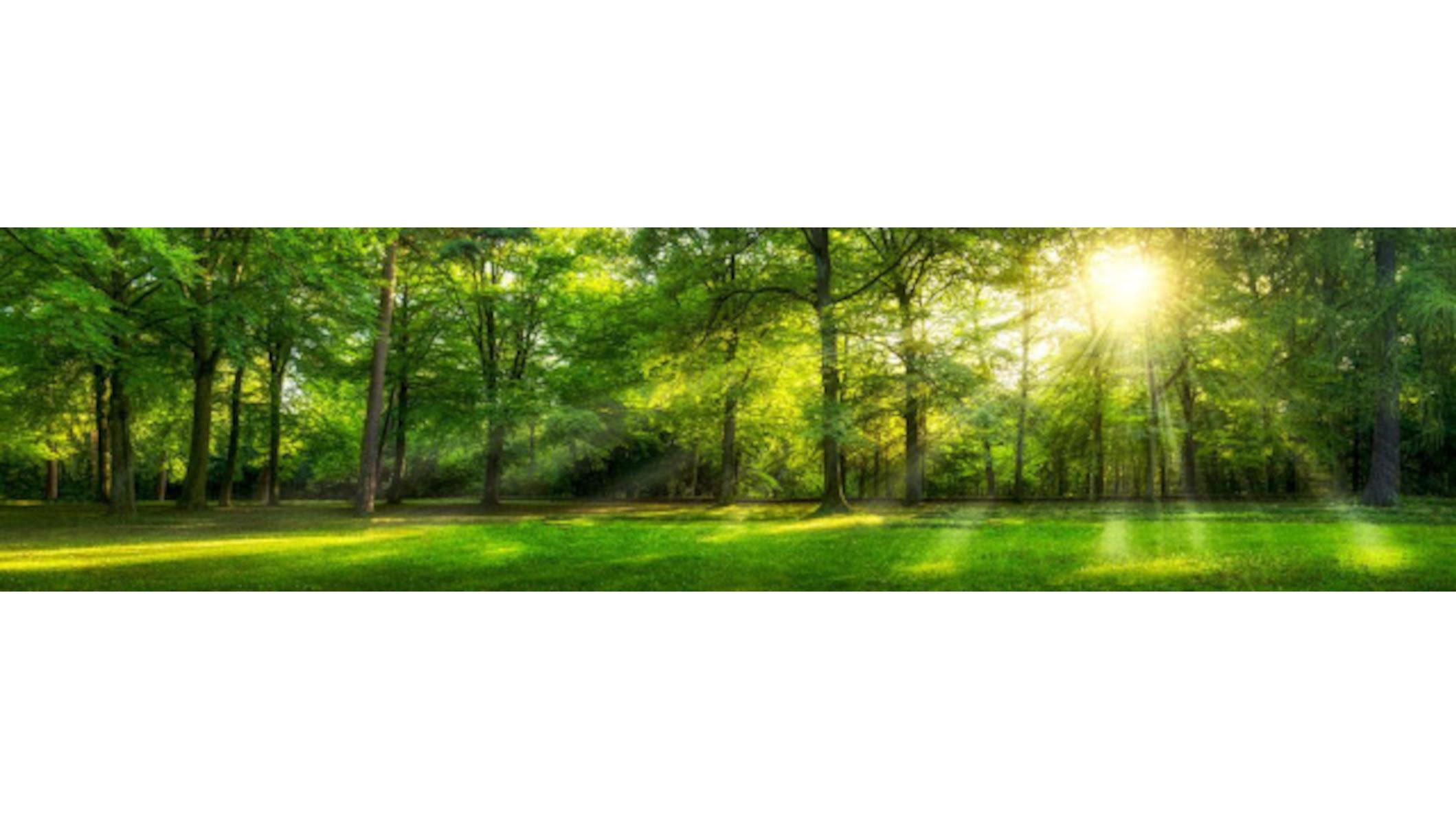 Bestattungen Spandl - Robert Spandl, Bachgasse in Erlenmoos