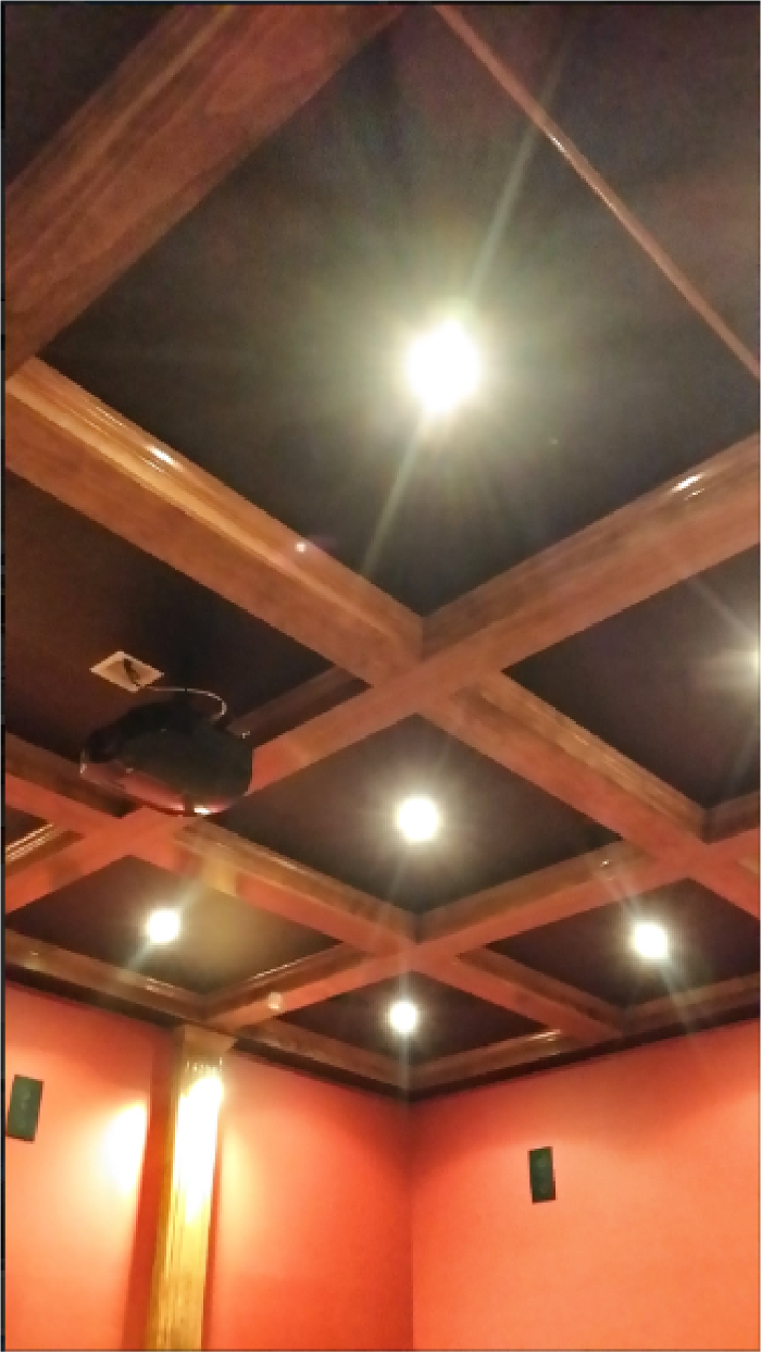 Audubon Painting Image