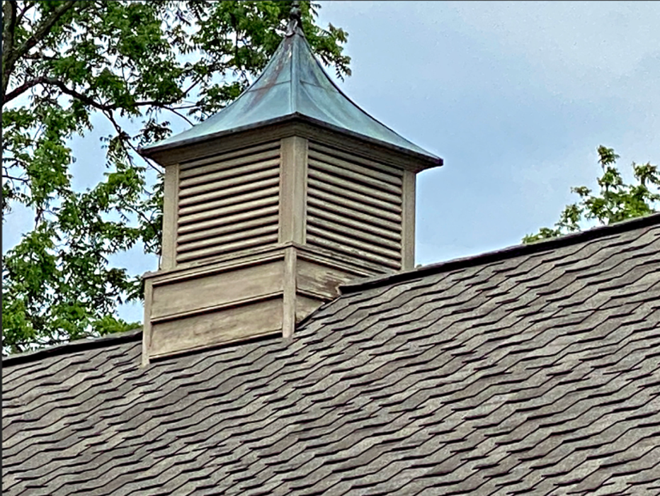 Audubon Painting Image