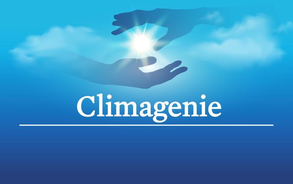 Clima-Genie SAS réparation et restauration (objets divers)